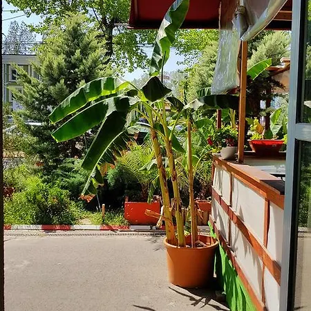 Apartament Coralia Apartment *